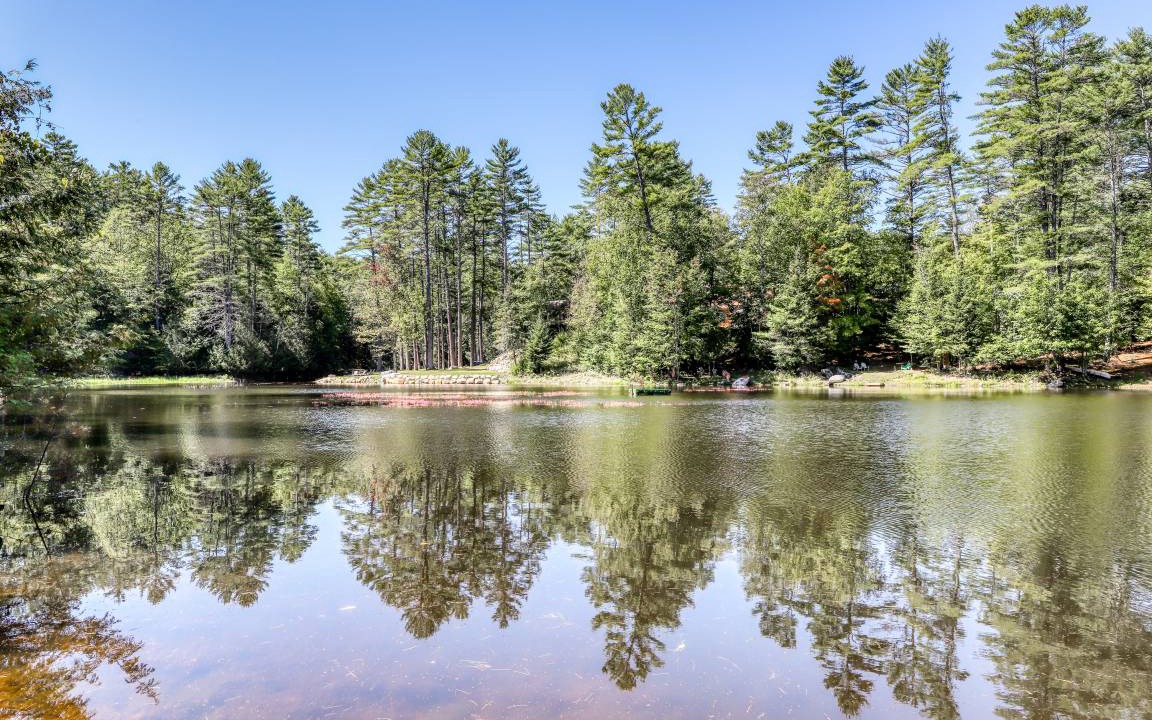 Photo of Others in Brant Lake