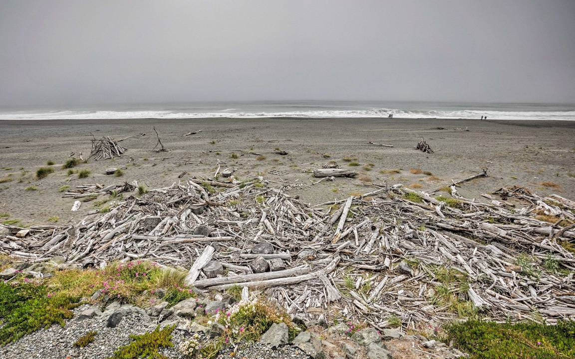 Photo of Others in Gold Beach