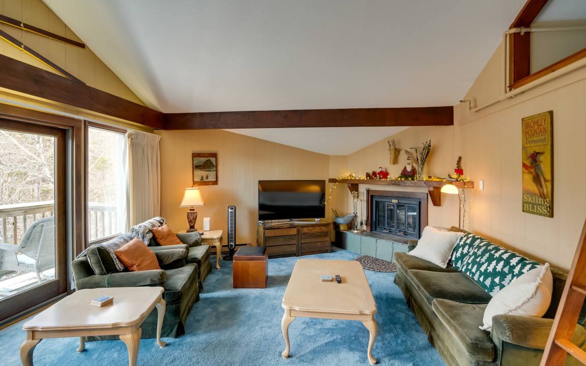 Photo of Livingroom in Bromley Mountain