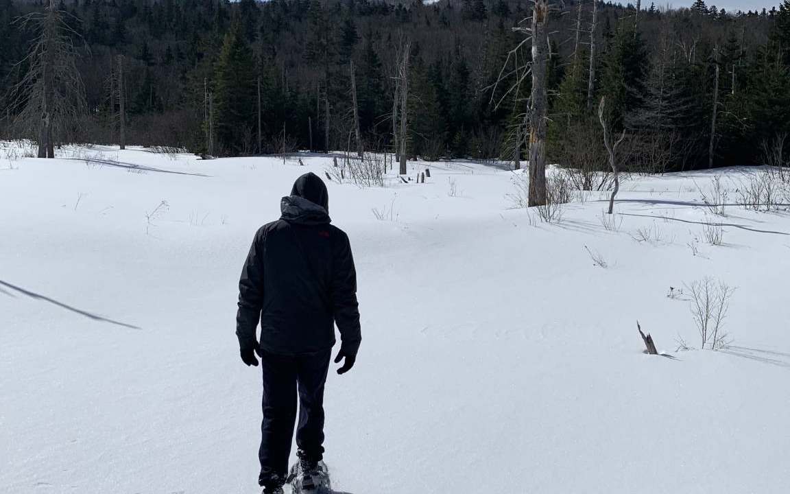 Photo of Others in Twin Mountain