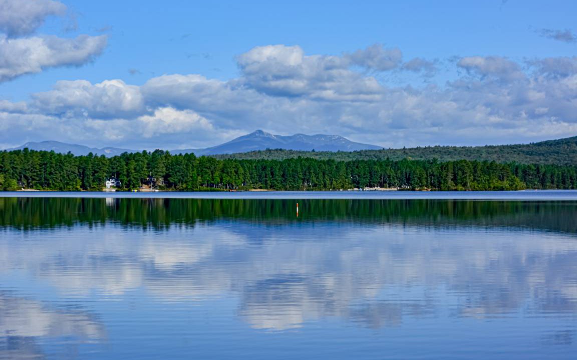 Photo of Others in The Bays