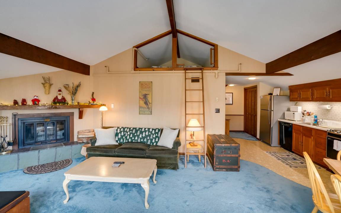 Photo of Livingroom in Bromley Mountain