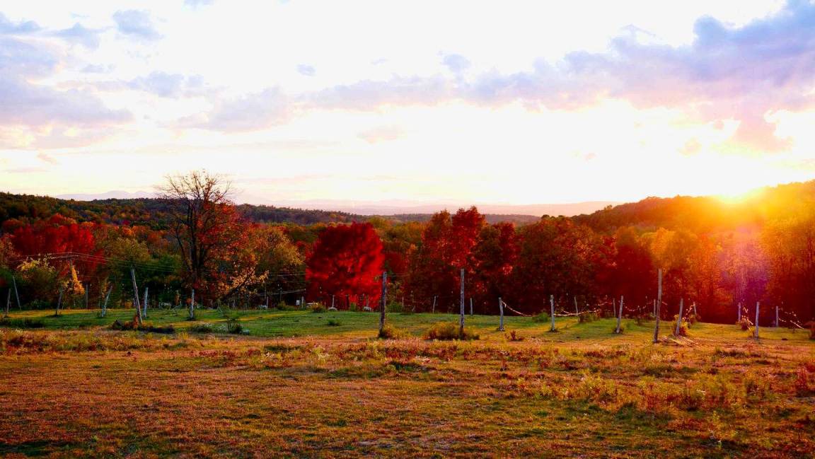 Photo of Others in Castleton-on-Hudson