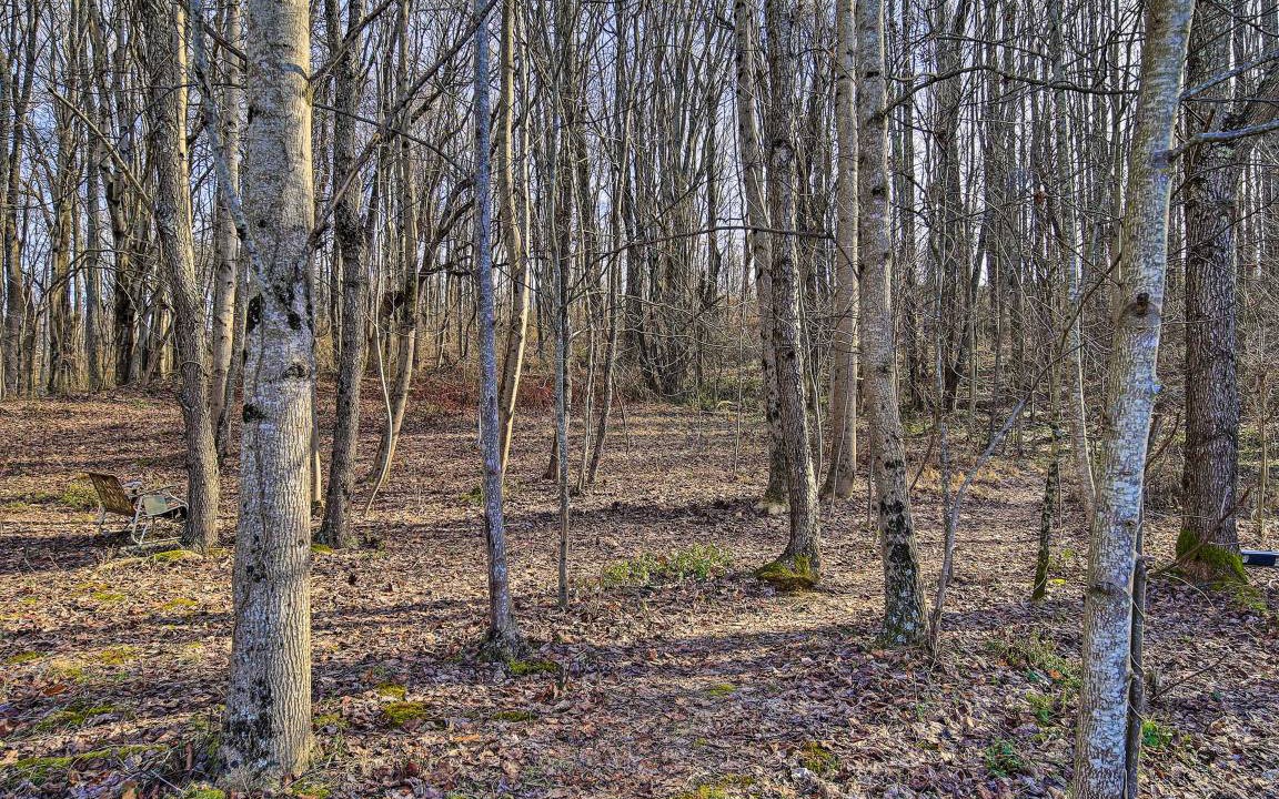Photo of Others in Meadowview