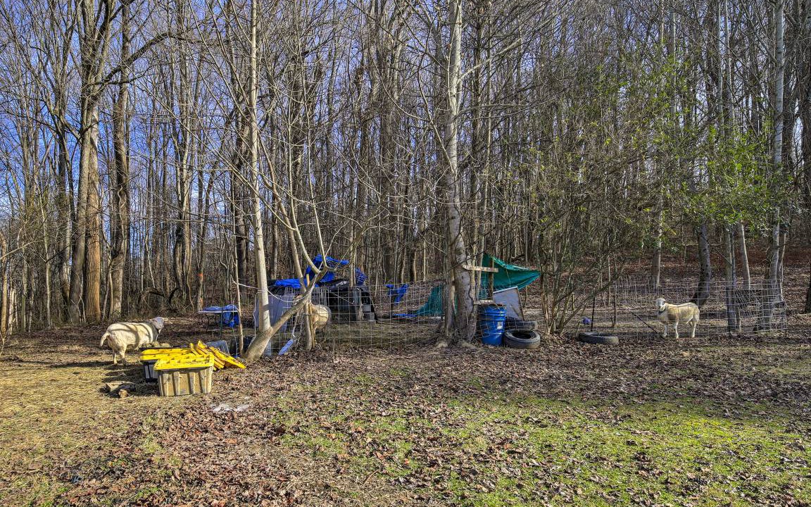 Photo of Others in Meadowview