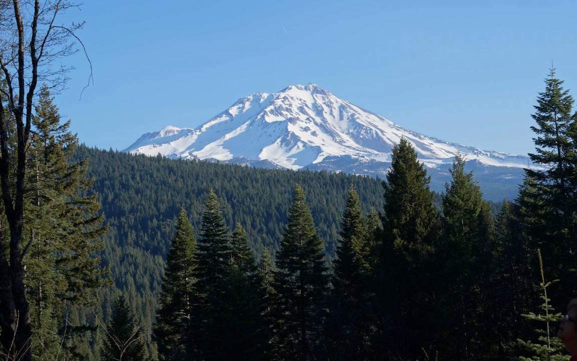 Photo of Others in McCloud
