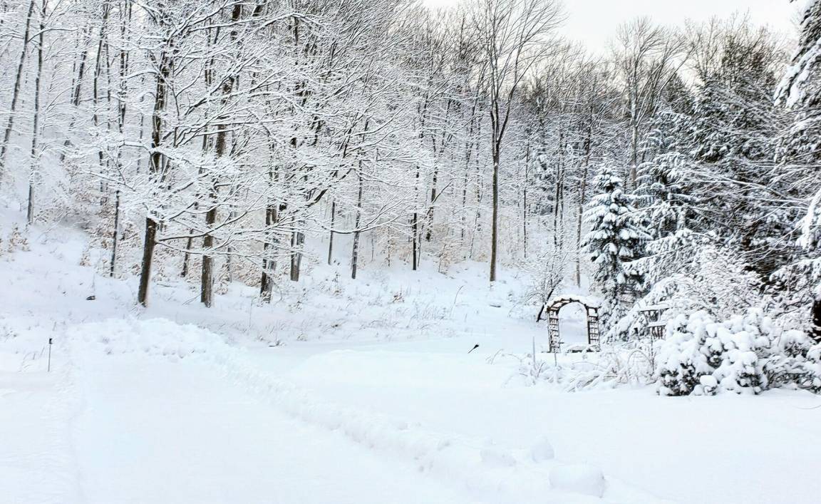 Photo of Others in Mendon