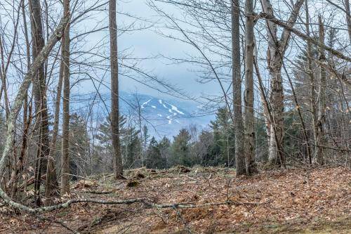 Photo of Others in Stowe Area
