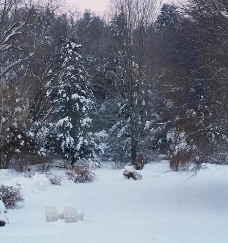 Photo of Others in West Woodstock