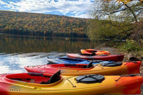 Photo of Others in Springwater