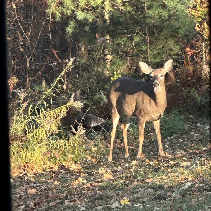 Photo of Others in New Haven