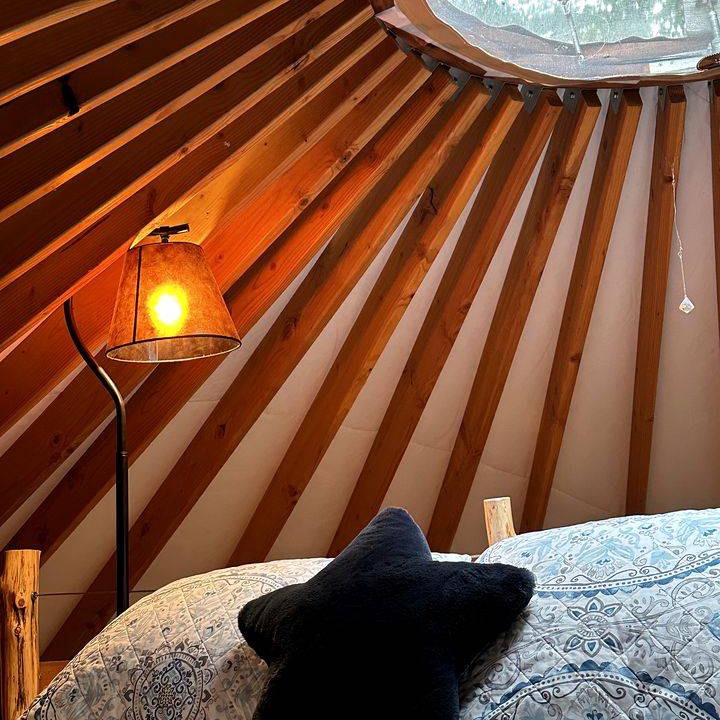 Photo of Bedroom in New Haven