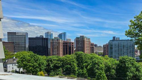 Photo of Others in White Plains