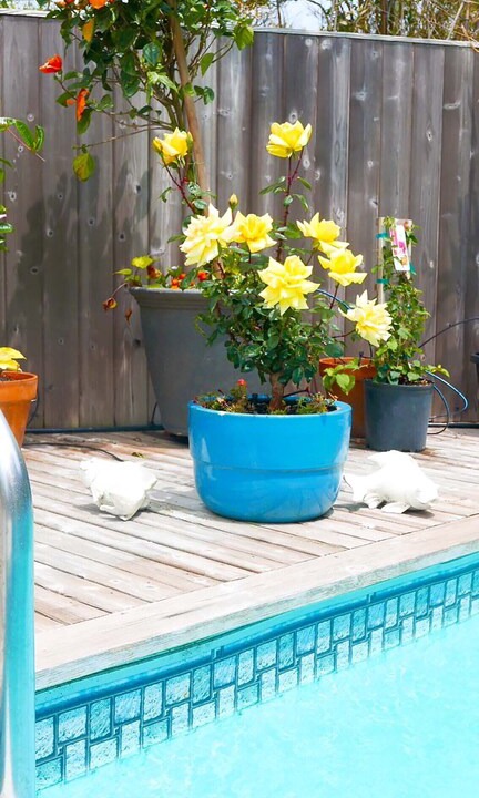 Photo of Outdoor in Fire Island Pines