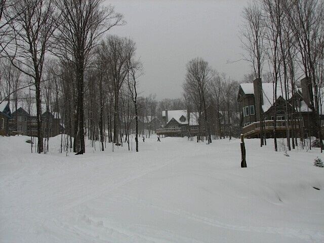 Photo of Others in North Troy
