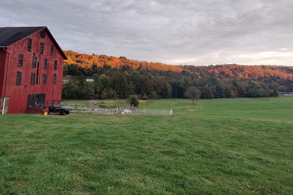 Photo of Others in Taylorstown