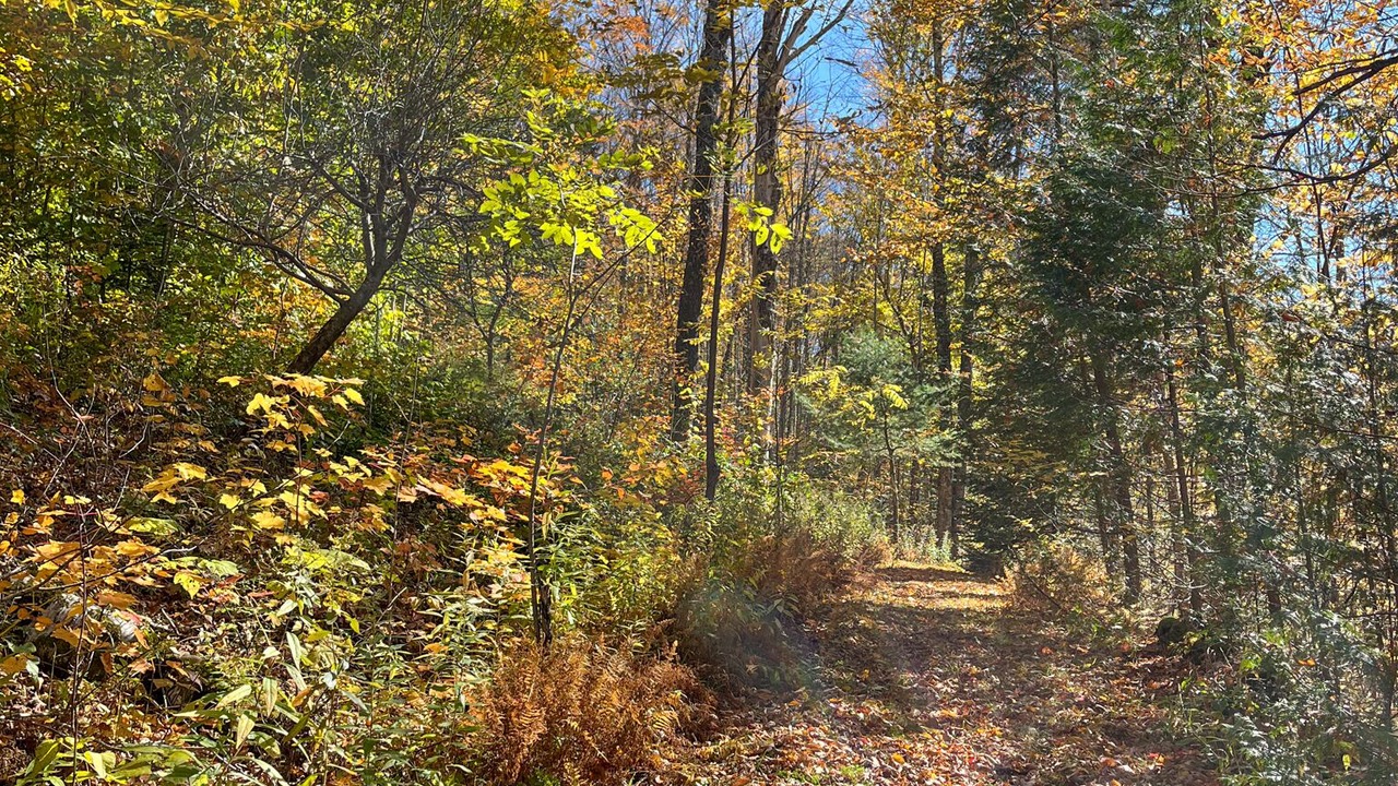 Photo of Outdoor in Granville
