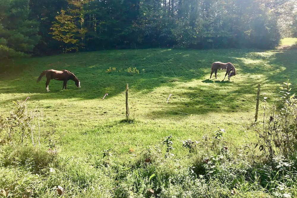 Photo of Outdoor in East Calais