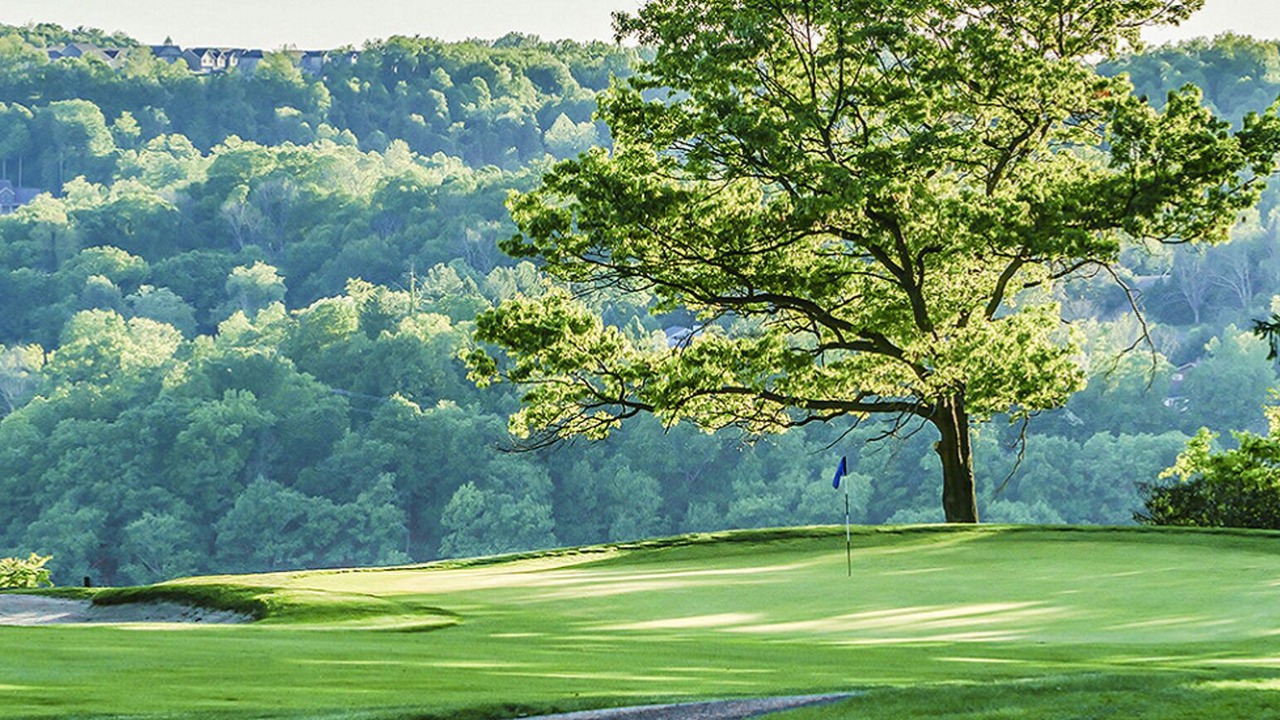 Photo of Others in Cheat Lake