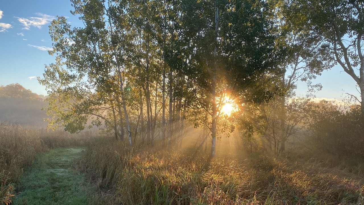 Photo of Outdoor in Ipswich