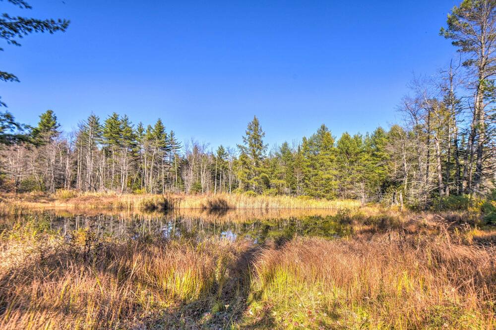 Photo of Outdoor in Sunapee