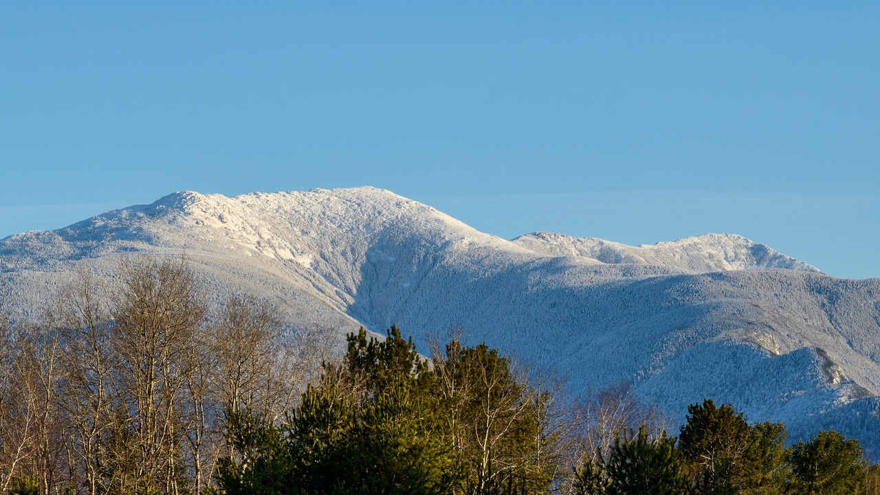 Photo of Others in Franconia
