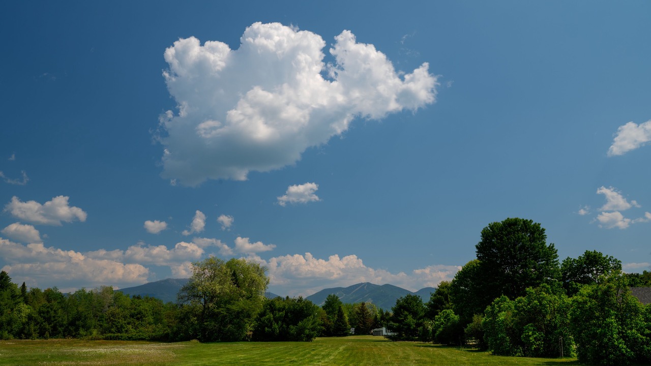 Photo of Others in Franconia