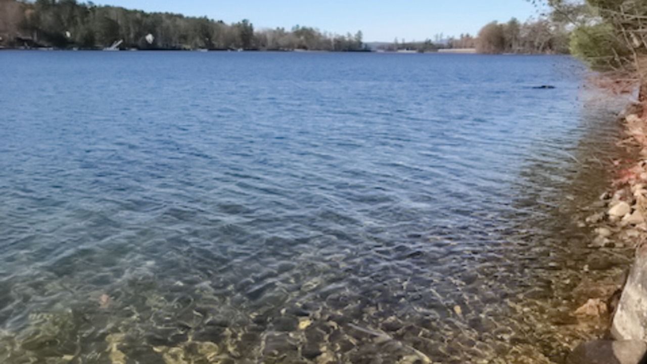 Photo of Others in Moultonborough