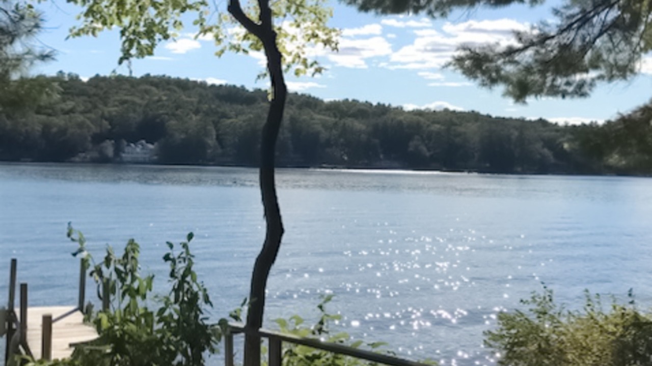 Photo of Others in Moultonborough