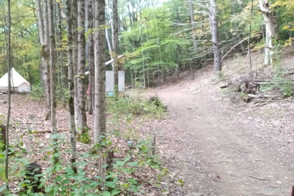 Photo of Others in Westmoreland