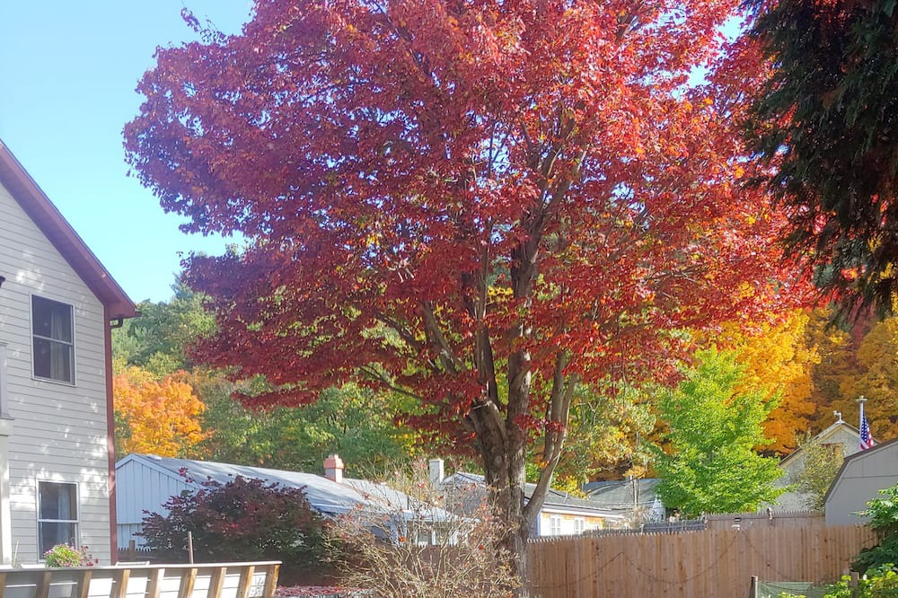 Photo of Others in Brattleboro