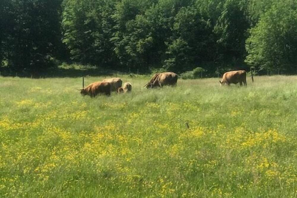 Photo of Others in Auburn