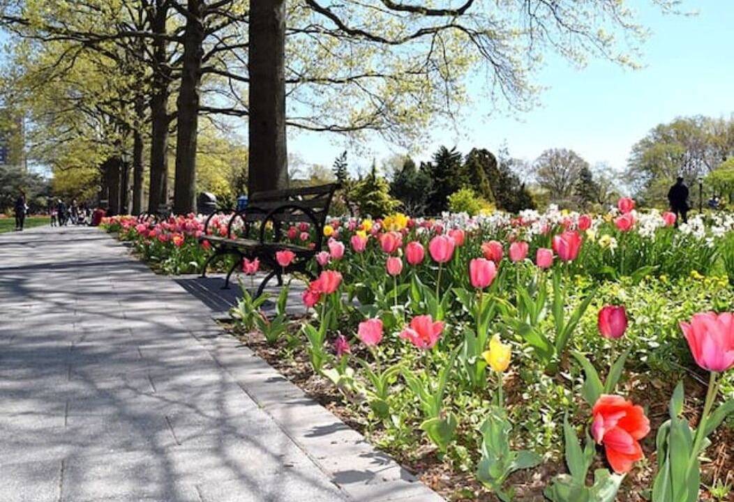 Photo of Outdoor in Queens