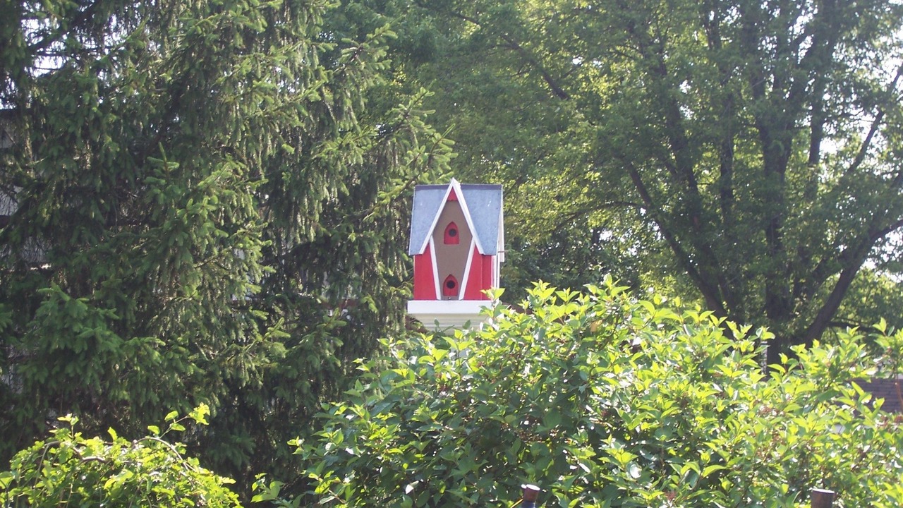 Photo of Outdoor in Clarence