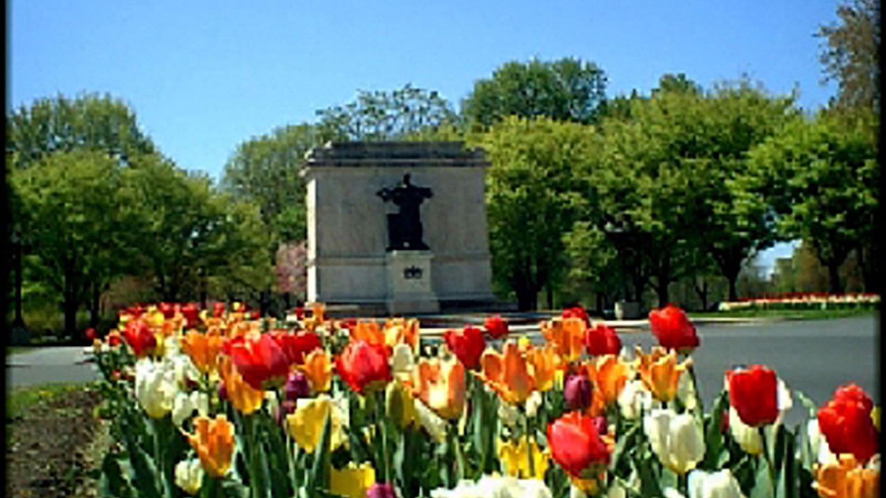 Photo of Others in Albany
