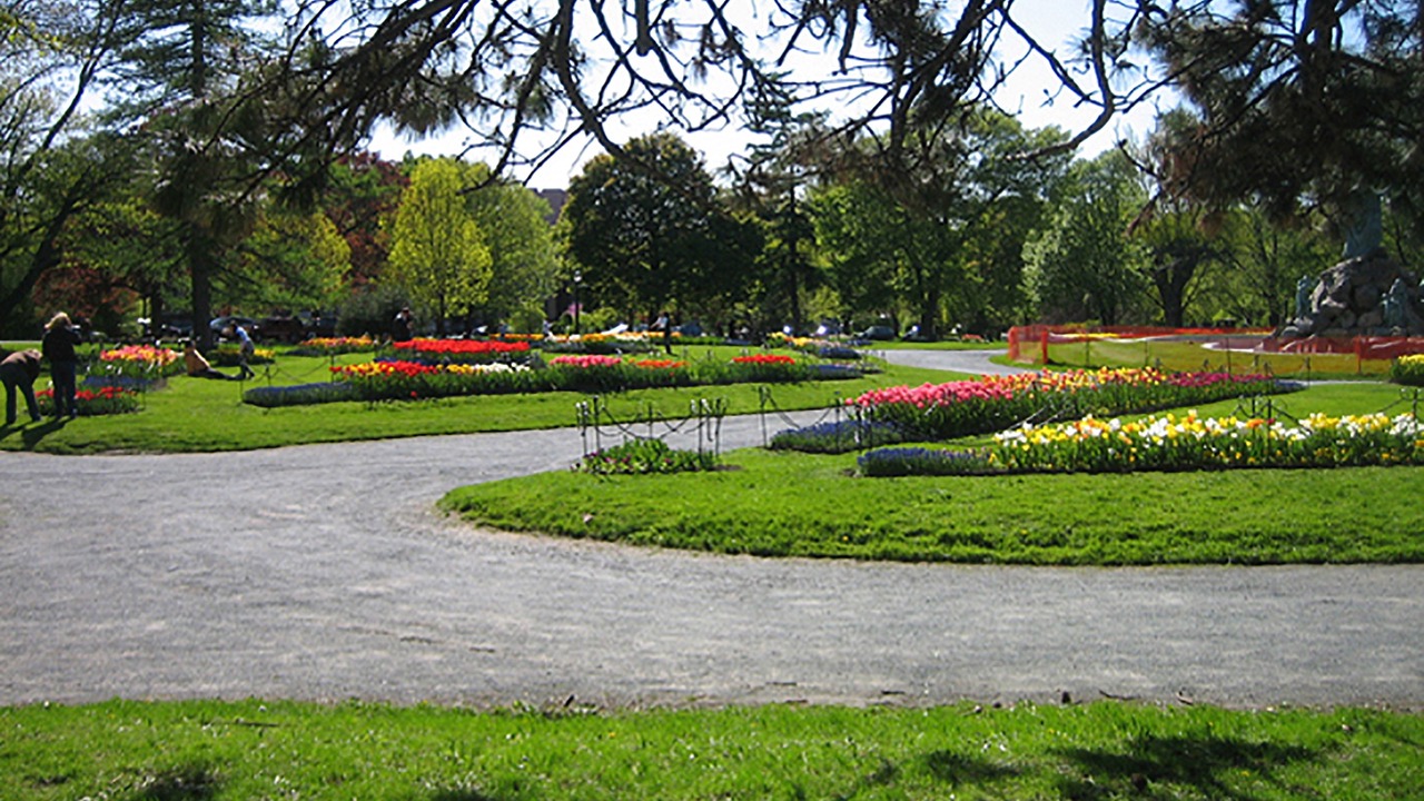 Photo of Outdoor in Albany