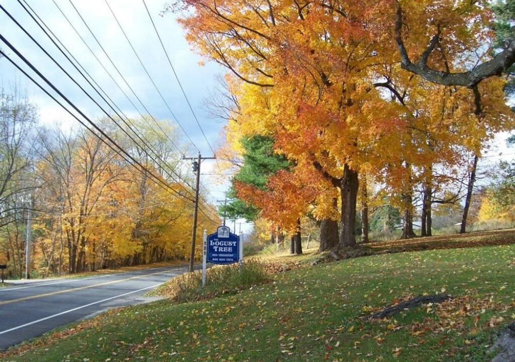Photo of Others in North Canaan