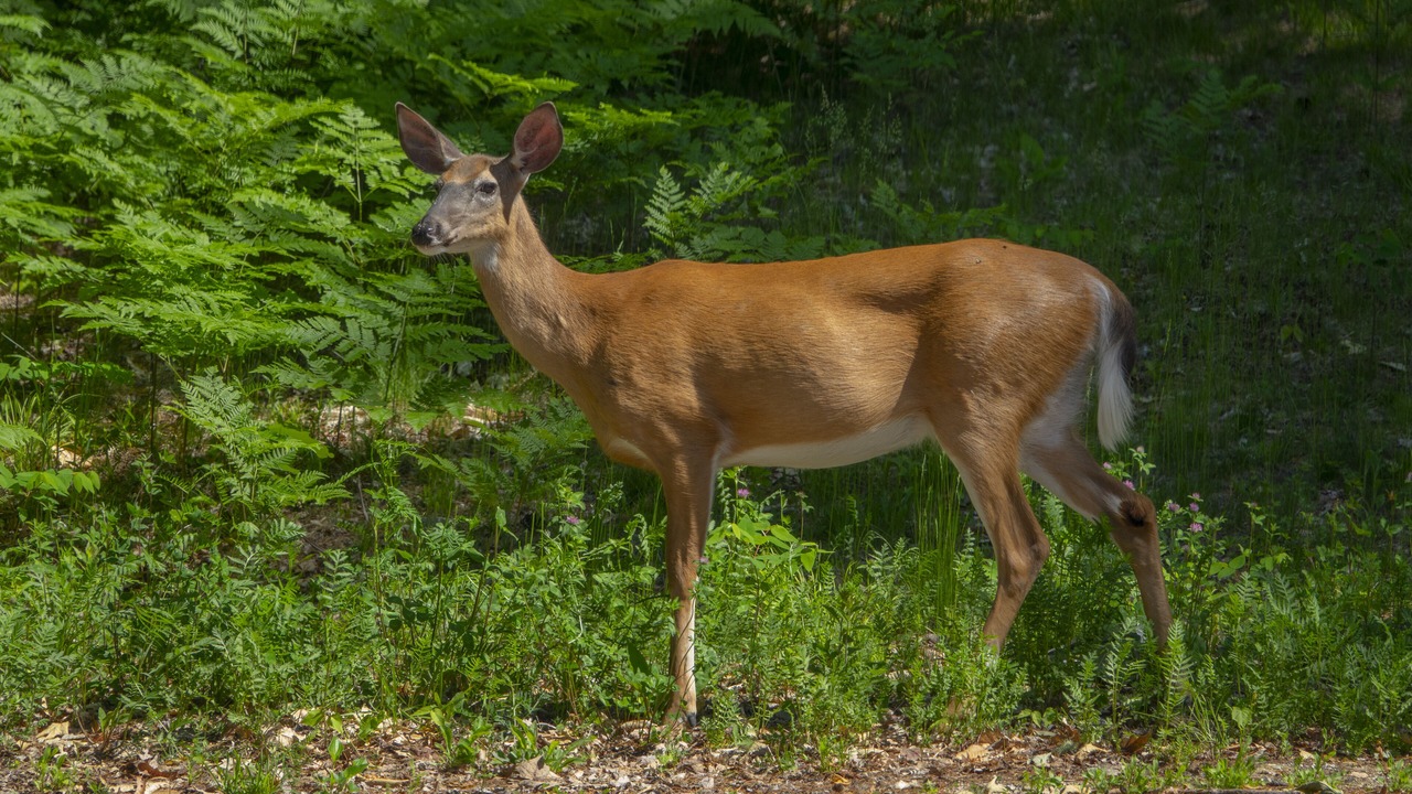 Photo of Outdoor in Jackson