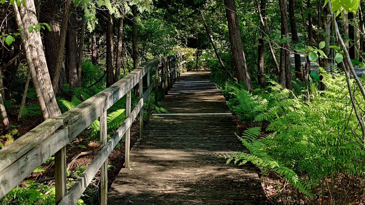 Photo of Outdoor in Huletts Landing