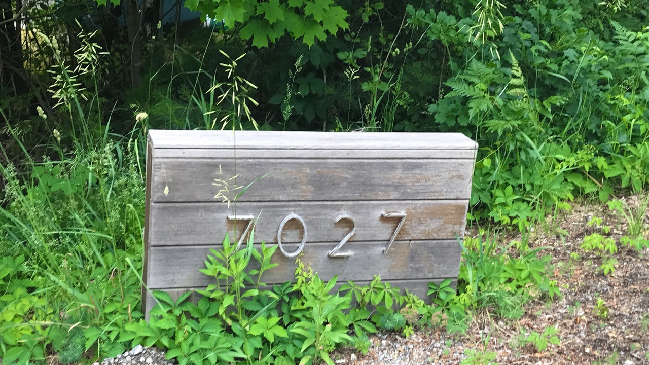Photo of Outdoor in Brant Lake