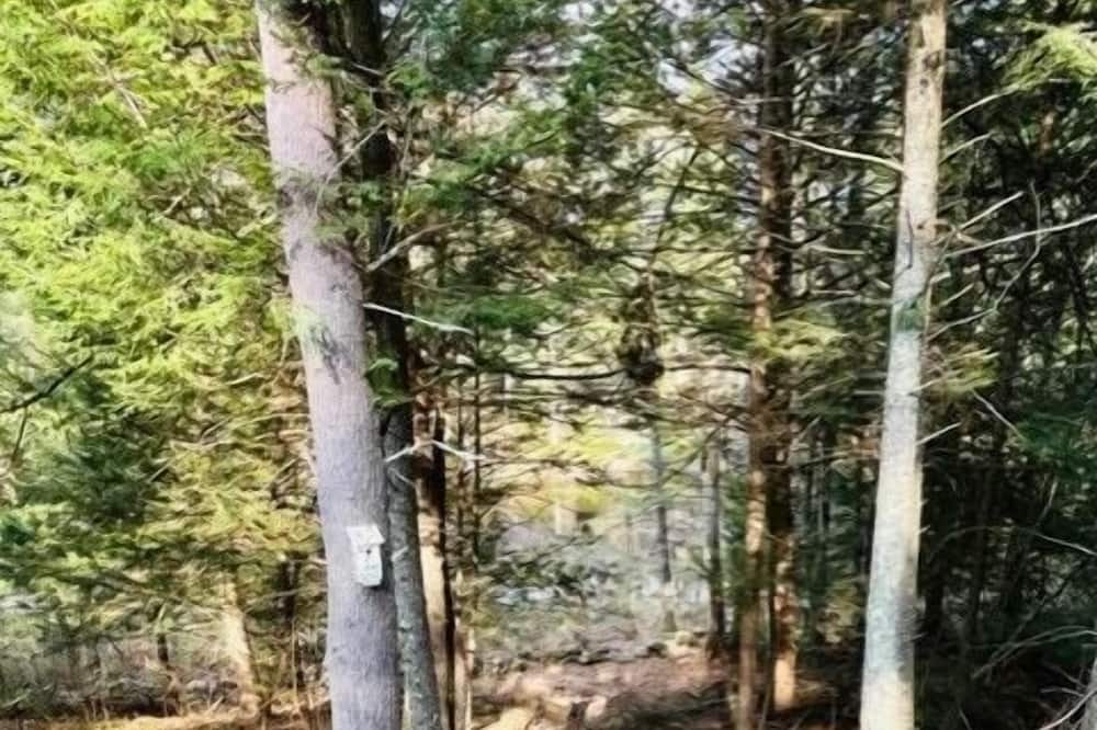 Photo of Others in Lyndeborough
