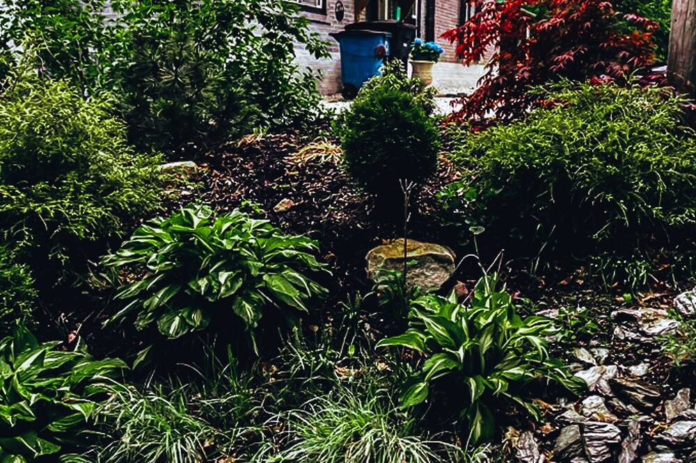 Photo of Outdoor in North Adams