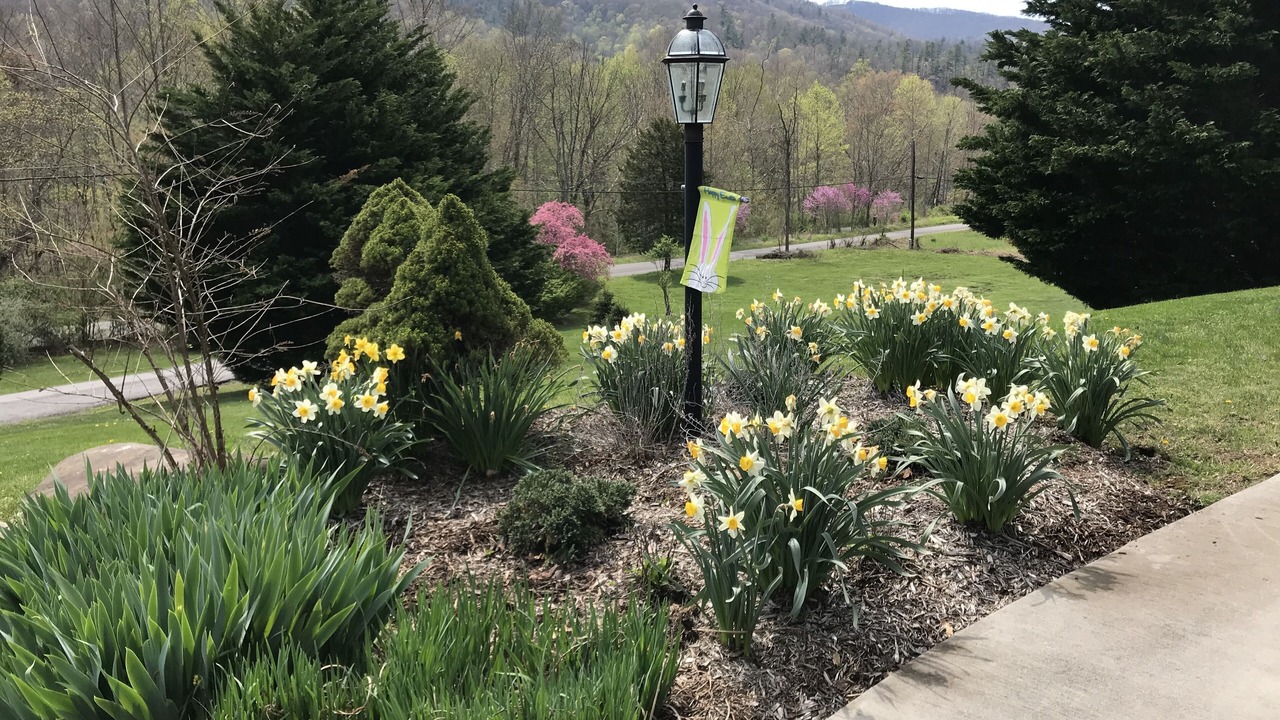 Photo of Outdoor in Lewisburg
