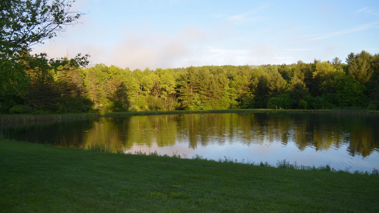 Photo of Outdoor in Scio