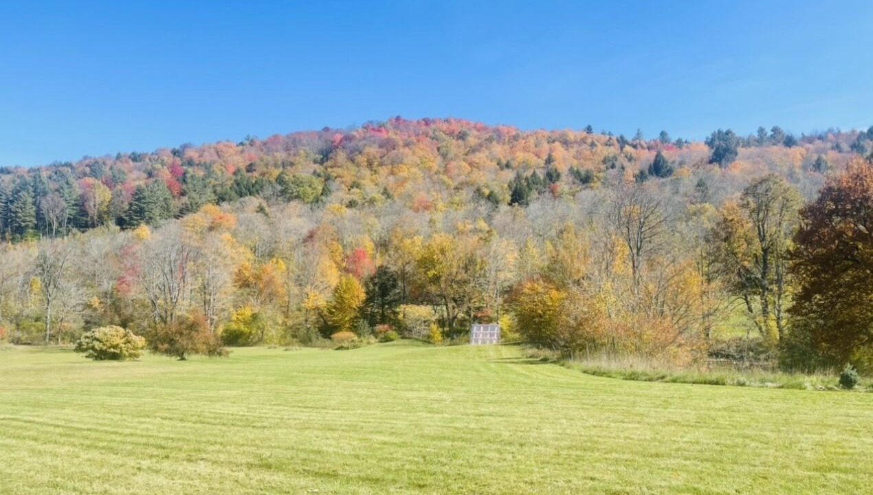 Photo of Others in Bethel