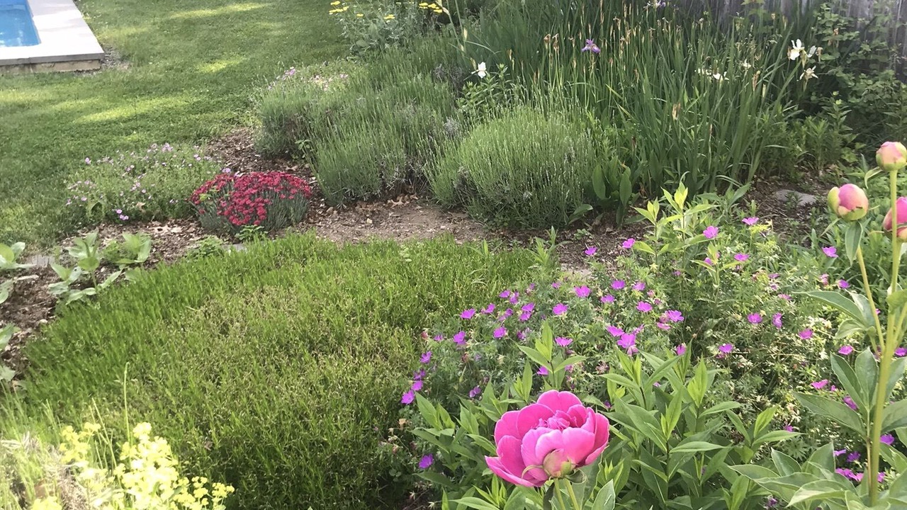 Photo of Outdoor in Hollowville