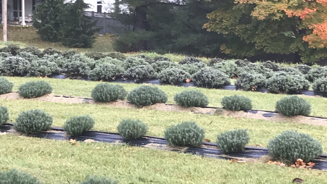 Photo of Outdoor in Hollowville