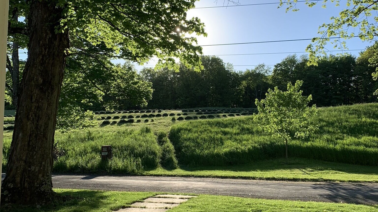 Photo of Outdoor in Hollowville