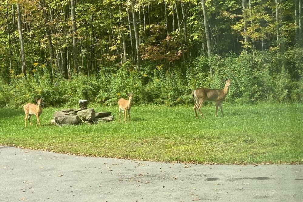 Photo of Others in Hartwick