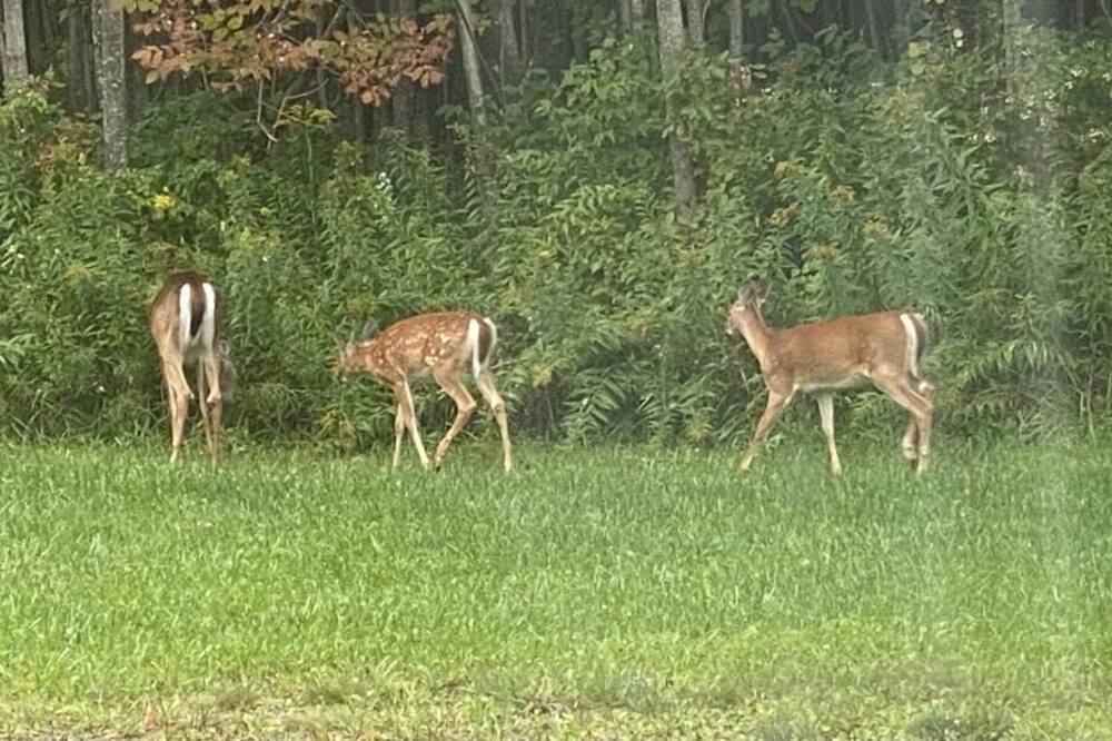 Photo of Others in Hartwick